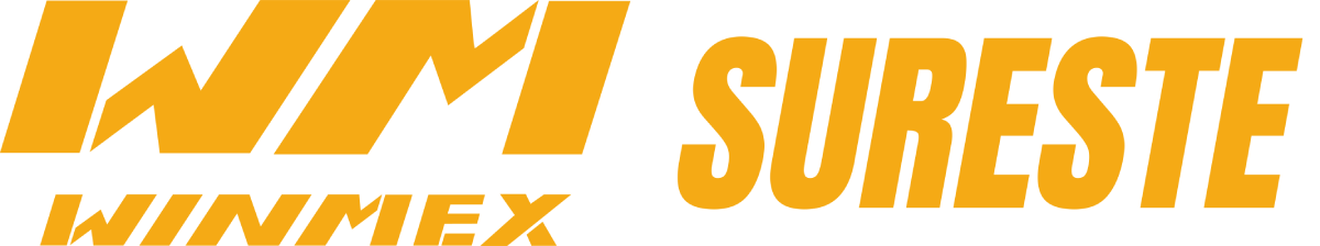 Logotipo Winmex Sureste